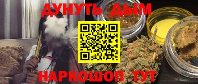 гидра Ставрополь