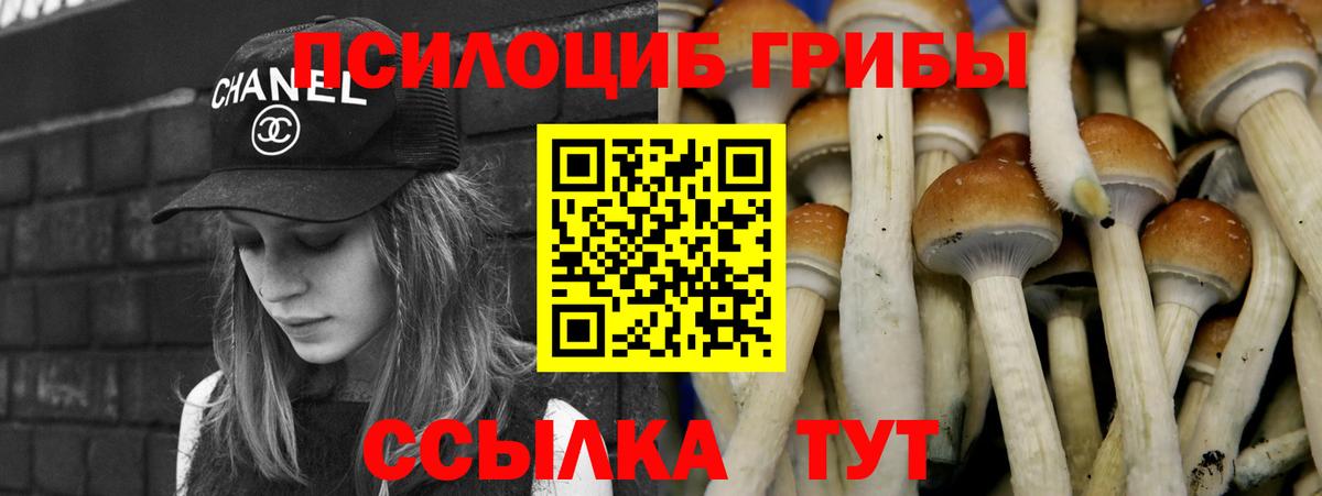 Новосибирск  Псилоцибиновые грибы GOLDEN TEACHER  Псилоцибиновые грибы GOLDEN TEACHER  Вход с VPN 