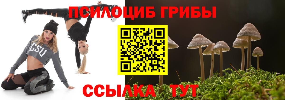 Галлюциногенные грибы Psilocybe Новосибирск